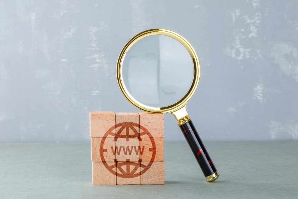 Court-Backed URL Removal for Search Reputation