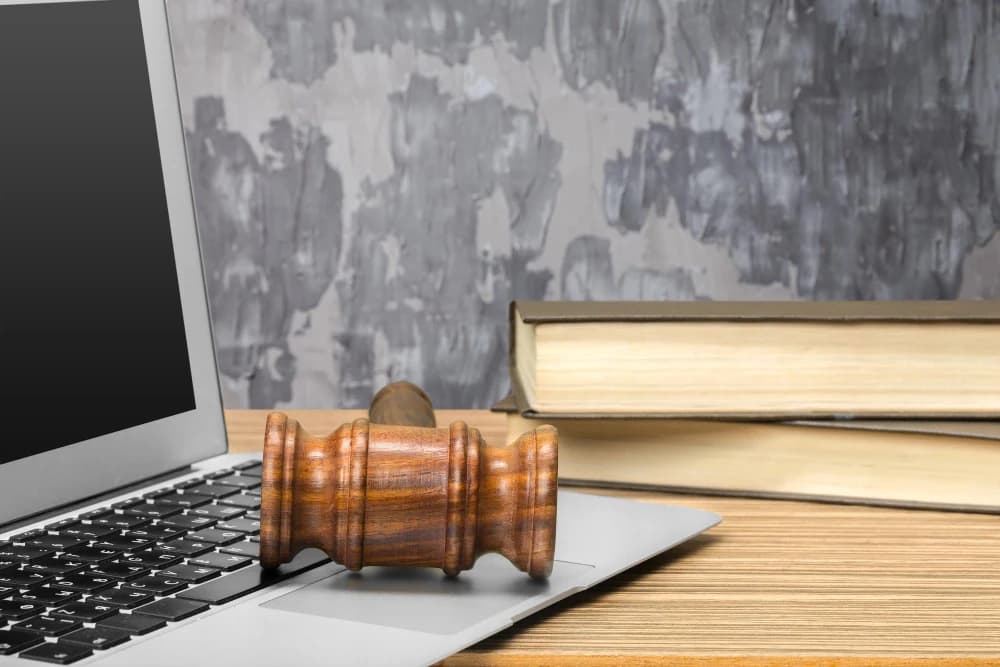 Online Reputation Protection Through Court-Ordered Removal